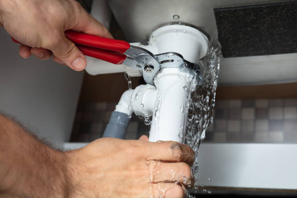 Best Flood restoration services  in Cabool, MO