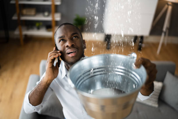  Cabool, MO Water damage restoration Pros
