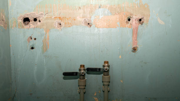 Best Flood restoration services  in Cabool, MO