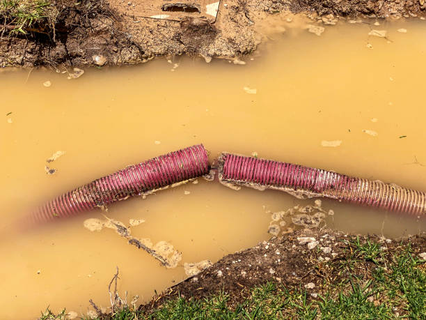 Best Local water damage restoration  in Cabool, MO